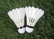 九游娱乐入口-丹麦羽毛球队力克印尼羽毛球队，谌龙制霸全场