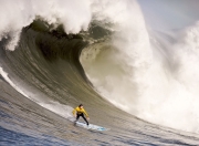 九游娱乐官方网站-波尔闪耀，葡萄牙力克韩国，一场定义未来的高光之战