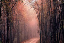 九游娱乐-当桑巴魔术师征服NBA赛场：内马尔数据炸裂背后的跨界统治力