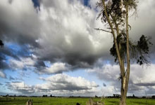 九游APP-巴西男篮横扫76人，波特完成帽子戏法——体育激情引爆全场的传奇瞬间